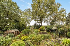 Photo 15- click for photo gallery